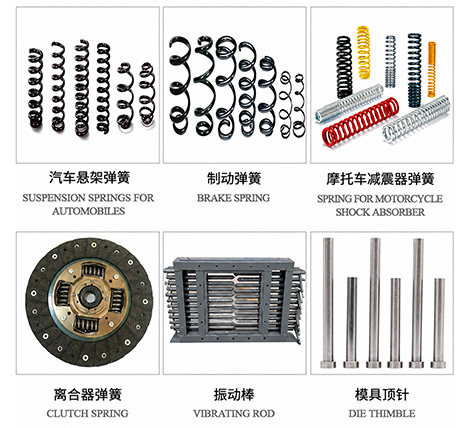 Product Portfolio